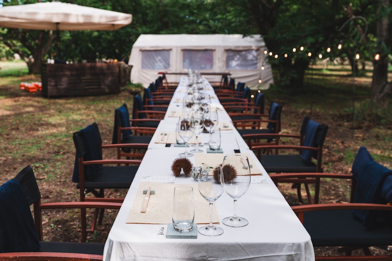 プログラム概要イメージ